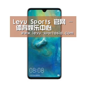 华为无线快充手机
