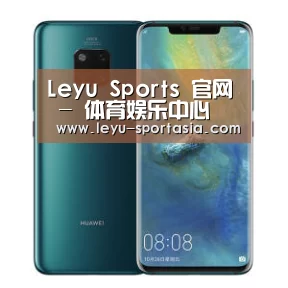 华为无线快充手机