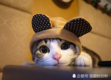 《画江湖之不良人》第三季回归,盘点前两季八大未解之谜_乐鱼篮球竞猜(图1) 乐鱼官方入口