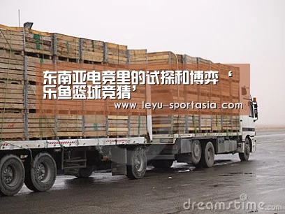 东南亚电竞里的试探和博弈‘乐鱼篮球竞猜’(图1) 乐鱼官方入口