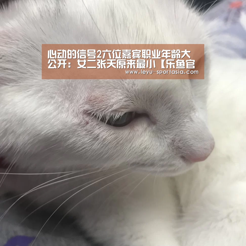 乐鱼篮球竞猜