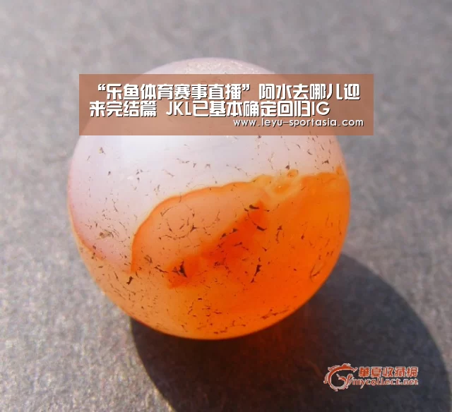 “乐鱼体育赛事直播”阿水去哪儿迎来完结篇 JKL已基本确定回归IG(图1) 乐鱼体育赛事直播