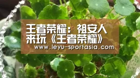 乐鱼篮球竞猜
